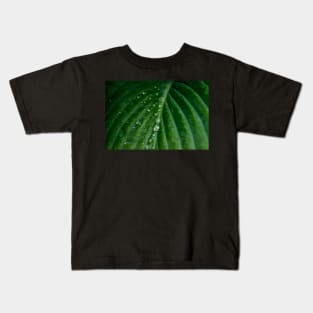 Water droplets on Hosta leaf Kids T-Shirt